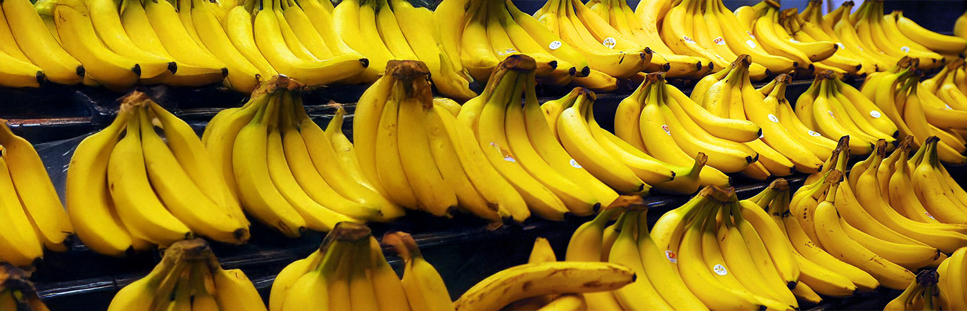 Could Bananas Go Extinct?